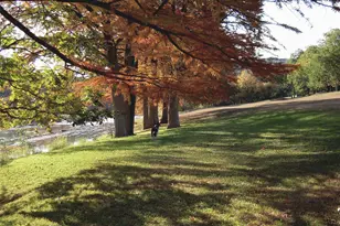 261 Barber Dr, Wimberley, TX 78676 - Photo 34