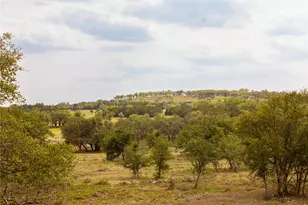 2551 Prochnow Rd, Dripping Springs, TX 78620 - Photo 1