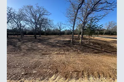 152 Canyon Loop, Cedar Creek, TX 78612 - Photo 4