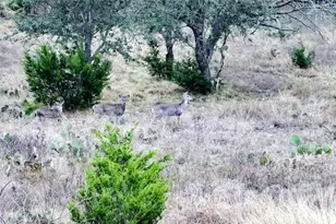 405 Heartleaf Dr, Lampasas, TX 76550 - Photo 8