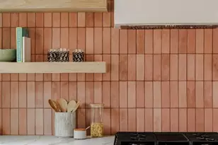 2009 Lear Ln, Austin, TX 78745 - Photo 8