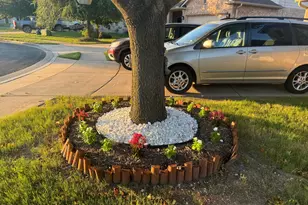 105 Sandy Lyle Cove, Round Rock, TX 78664 - Photo 4