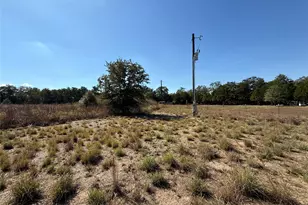 1258 Willow Creek Dr, Elgin, TX 78621 - Photo 4