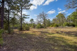 552 S Old Potato Rd, Paige, TX 78659 - Photo 38