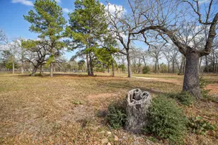 552 S Old Potato Rd, Paige, TX 78659 - Photo 4