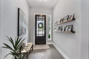 117 Daring Paintbrush Cv, San Marcos, TX 78666 - Photo 6