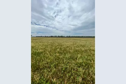 Tbd2 Davis Road, Smithville, TX 78957 - Photo 6
