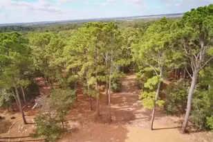 109 E Keanahalululu Ln, Bastrop, TX 78602 - Photo 8