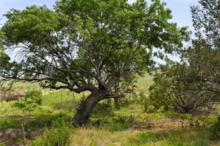 Tbd County Road 207, Burnet, TX 78611 - Photo 8