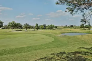 17313 Silverman Dr, Pflugerville, TX 78660 - Photo 8