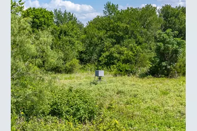 1500 County Road 481, Thrall, TX 76578 - Photo 4