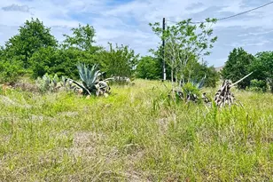 126 Wild Bird Loop, Smithville, TX 78957 - Photo 1
