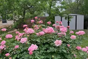 20638 Highland Lake Dr, Lago Vista, TX 78645 - Photo 24