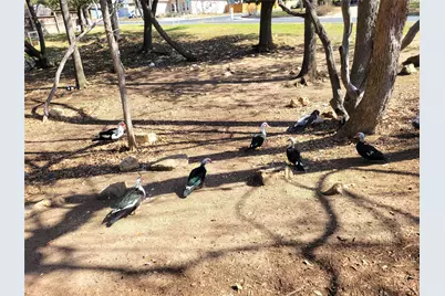 10217 Lindshire Lane, Austin, TX 78748 - Photo 24