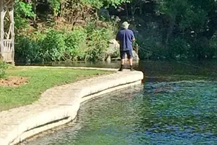 730 E Mather St, New Braunfels, TX 78130 - Photo 36