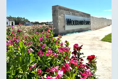 2241 Council Springs Pass, Leander, TX 78641 - Photo 18