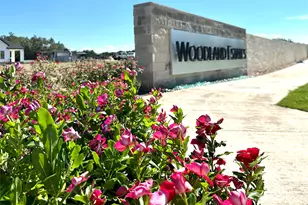 2241 Council Springs Pass, Leander, TX 78641 - Photo 18