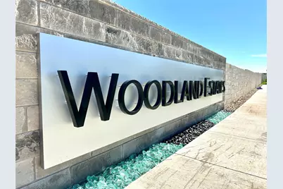 2241 Council Springs Pass, Leander, TX 78641 - Photo 16