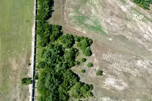 2241 Council Springs Pass, Leander, TX 78641 - Photo 4