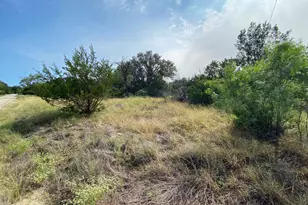 Lot 32 Pedernales Oaks Dr, Johnson City, TX 76636 - Photo 1