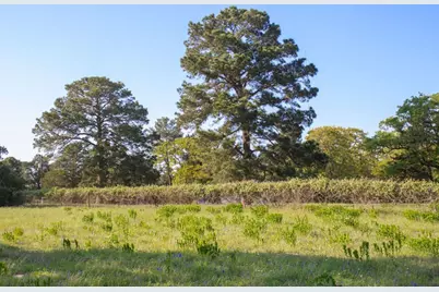 490 John Craft Road, Red Rock, TX 78662 - Photo 26