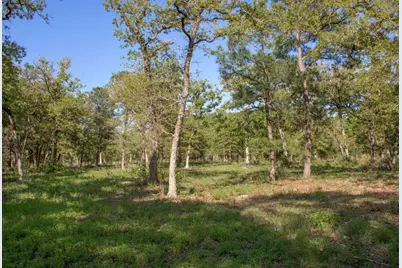 490 John Craft Road, Red Rock, TX 78662 - Photo 38