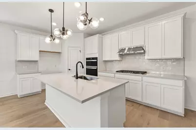 526 Rubber Tree Way, Buda, TX 78610 - Photo 4