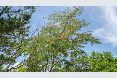 0000 Cr 330, Milano, TX 76556 - Photo 30