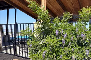 440 El Capitan Loop, Dripping Springs, TX 78620 - Photo 20