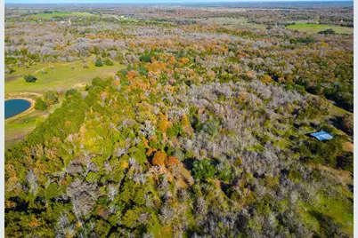 272 Deadwood Road, Cedar Creek, TX 78621 - Photo 30