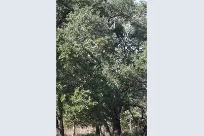 272 Deadwood Road, Cedar Creek, TX 78621 - Photo 34