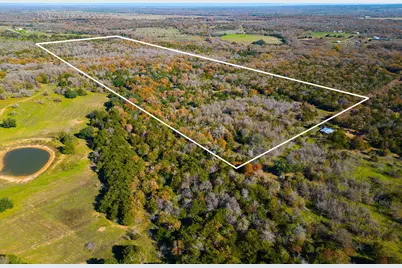 272 Deadwood Road, Cedar Creek, TX 78621 - Photo 2