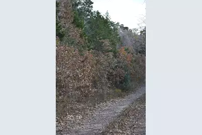 272 Deadwood Road, Cedar Creek, TX 78621 - Photo 12