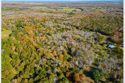 272 Deadwood Road, Cedar Creek, TX 78621 - Photo 32