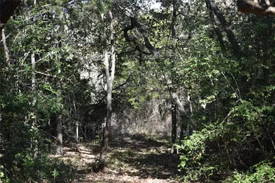272 Deadwood Road, Cedar Creek, TX 78621 - Photo 10