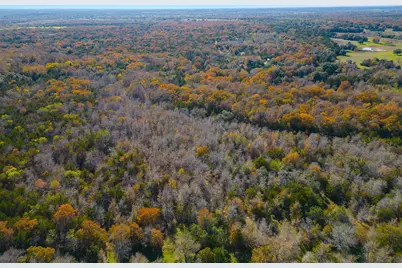 272 Deadwood Road, Cedar Creek, TX 78621 - Photo 24