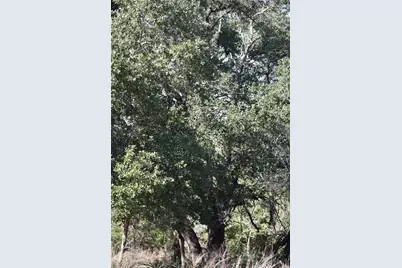 272 Deadwood Road, Cedar Creek, TX 78621 - Photo 28