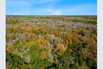 272 Deadwood Road, Cedar Creek, TX 78621 - Photo 22