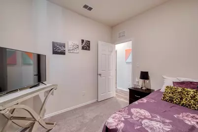 248 Cherry Vine Drive, Buda, TX 78610 - Photo 20