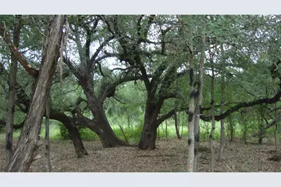 11112, 11106 Travis Drive, Jonestown, TX 78645 - Photo 10