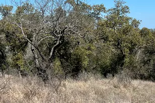 Lot 25 Southview Ct, Kingsland, TX 78639 - Photo 18