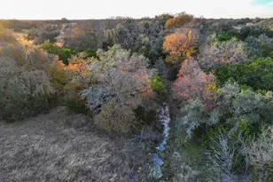 9A-3 Miller Creek Bluff, Briggs, TX 78608 - Photo 4