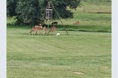 1122 County Road 344 Road, Lexington, TX 78947 - Photo 38