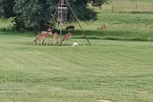 1122 County Road 344 Rd, Lexington, TX 78947 - Photo 38
