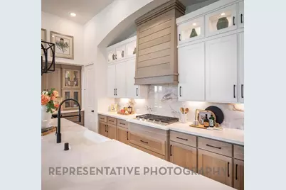 113 Ribera Drive, Liberty Hill, TX 78642 - Photo 4