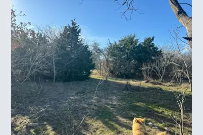 8405 Taylorsville Road, Dale, TX 78616 - Photo 10