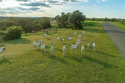 Lot 129 & 130 Lynx Cove Road, Blanco, TX 78606 - Photo 4