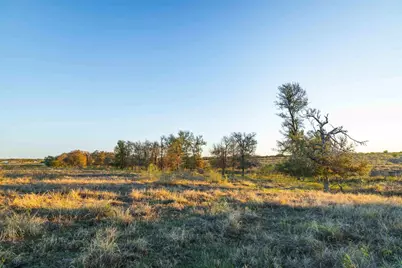 3191 County Road 463, Elgin, TX 78621 - Photo 2