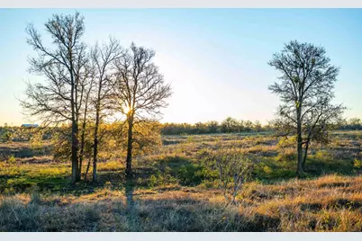 3191 County Road 463, Elgin, TX 78621 - Photo 1
