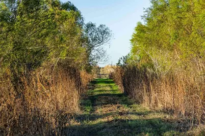 3191 County Road 463, Elgin, TX 78621 - Photo 6